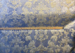 NEW! Queen Renee Designer Burnout Antique Inspired Velvet Fabric Eggshell Blue And Gold
