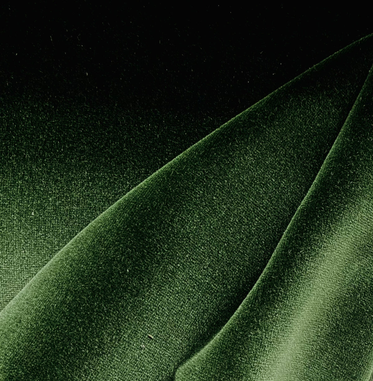 New Prince Oliver 100% Cotton made in Belgium Velvet Fabric in Central Park Green - Fancy Styles Fabric Pierre Frey Lee Jofa Brunschwig & Fils