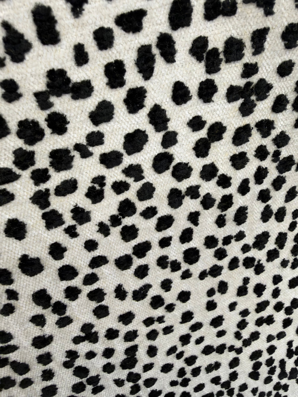 NEW Duchess Logan Snow Leopard Dalmation Novelty Upholstery Velvet White and Black