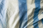 NEW! Prince Jeffry 100% Silk Taffeta Drapery Fabric in Stripes- Blue and White Cream