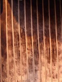 NEW! Prince Caspiane Designer Venetian Burnout Stripe Velvet Burnt Orange Amber Fabric Upholstery