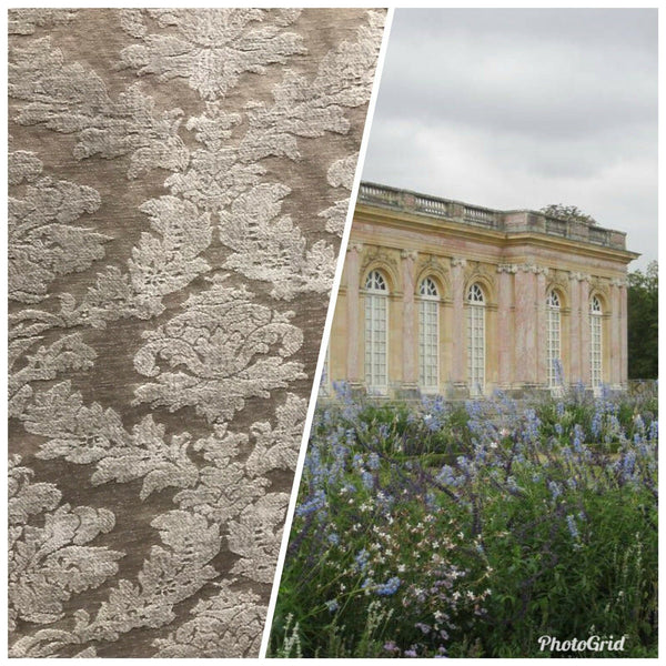 NEW! Back In Stock! Lady Danielle Velvet Chenille Burnout Upholstery Fabric - Taupe & Gray - Fancy Styles Fabric Pierre Frey Lee Jofa Brunschwig & Fils