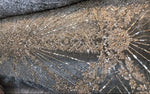 Beaded Pearl Scalloped Edges Wedding Lace Mesh Gold Silver Fabric - Fancy Styles Fabric Pierre Frey Lee Jofa Brunschwig & Fils