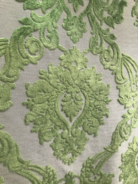 NEW Duke Raphael Designer Velvet Chenille Burnout Damask Upholstery Fabric - Green - Fancy Styles Fabric Pierre Frey Lee Jofa Brunschwig & Fils