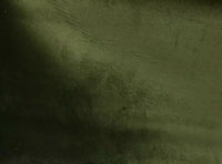 NEW! Designer Soft Velvet Fabric - Olive Green - Upholstery Weight BTY - Fancy Styles Fabric Pierre Frey Lee Jofa Brunschwig & Fils