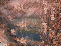 Beaded Peach & Coral Rhinestone Scalloped Edges Lace Mesh Floral Fabric - Fancy Styles Fabric Pierre Frey Lee Jofa Brunschwig & Fils