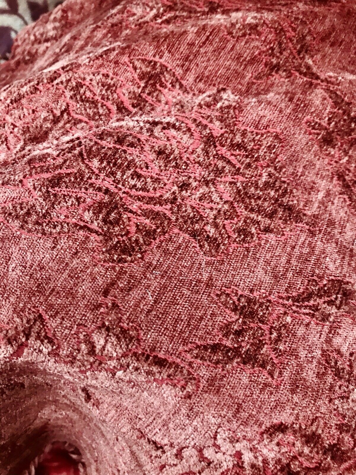 SWATCH Duke Santiago Designer Velvet Chenille Burnout Fabric - Antique