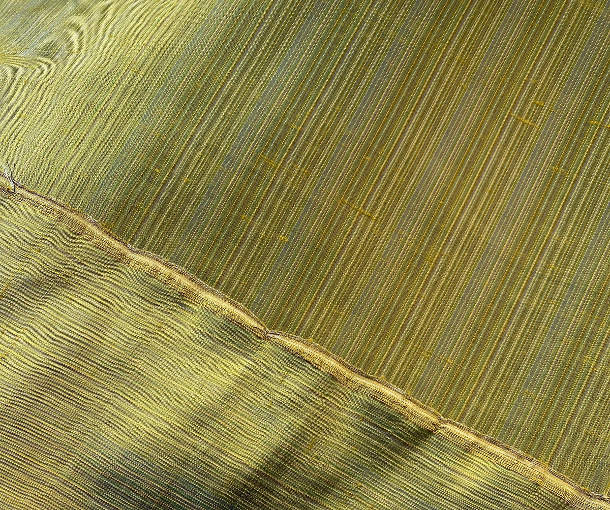 NEW Lady Bridgette Designer 100% Silk Dupioni Olive Green with Blue Iridescence Pinstriped Fabric - Fancy Styles Fabric Pierre Frey Lee Jofa Brunschwig & Fils