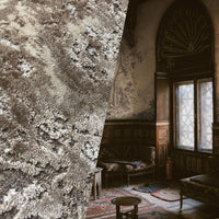 NEW Princess Panthers Novelty Made In Italy Brocade Velvet Fabric Antique Taupe Gray Venetian - Fancy Styles Fabric Pierre Frey Lee Jofa Brunschwig & Fils