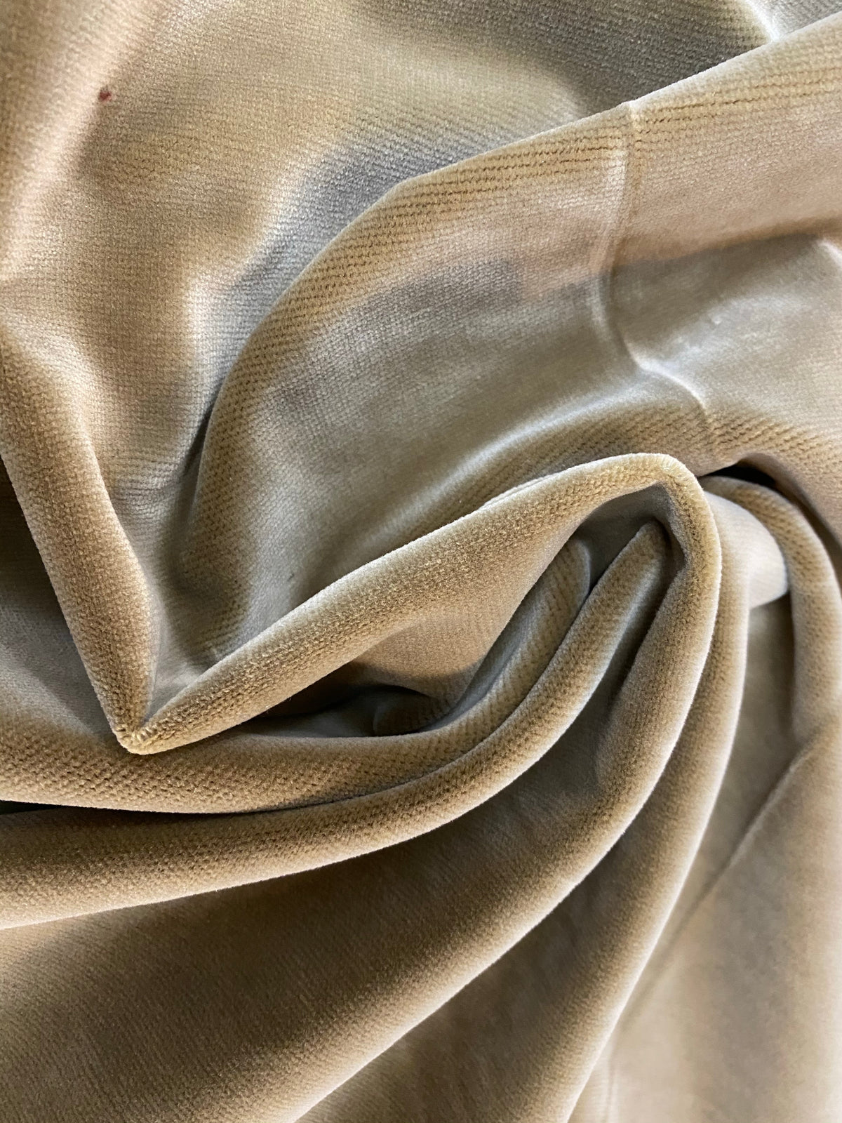 NEW! Prince Oliver - Designer 100% Cotton Made In Belgium Upholstery Velvet Fabric - Olive Gold - Fancy Styles Fabric Pierre Frey Lee Jofa Brunschwig & Fils