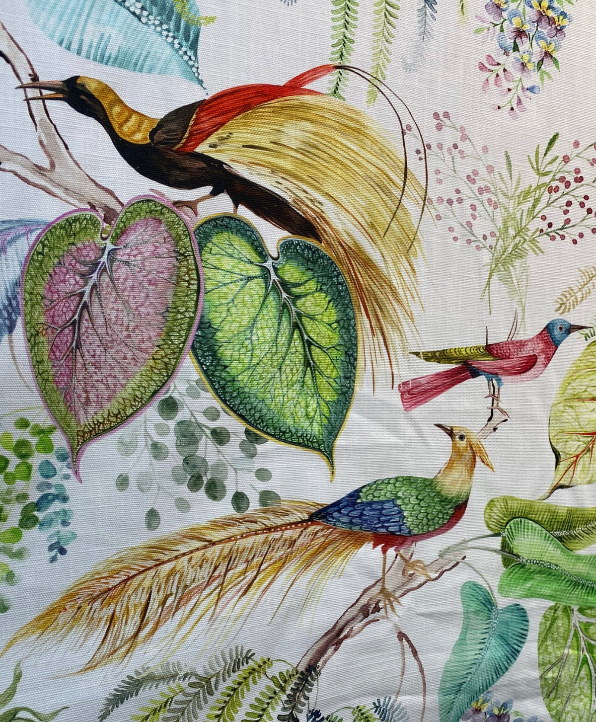 NEW Duchess Florita Novelty 100% Cotton Bird & Floral Decorating Fabric - Fancy Styles Fabric Pierre Frey Lee Jofa Brunschwig & Fils