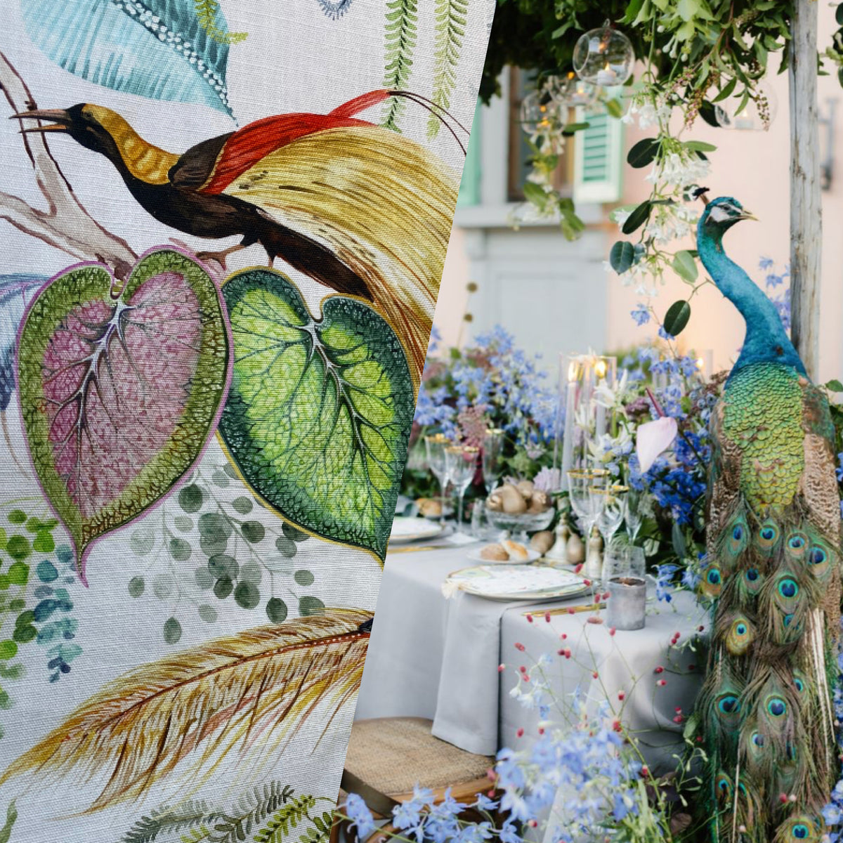 NEW Duchess Florita Novelty 100% Cotton Bird & Floral Decorating Fabric - Fancy Styles Fabric Pierre Frey Lee Jofa Brunschwig & Fils