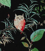 NEW! Kravet Owlish Black 100% Linen Fabric - Fancy Styles Fabric Pierre Frey Lee Jofa Brunschwig & Fils