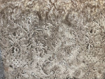 NEW Princess Panthers Novelty Made In Italy Brocade Velvet Fabric Antique Taupe Gray Venetian