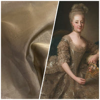 NEW! Lady Estella 100% Silk Organza Taupe Grey Fabric - Fancy Styles Fabric Pierre Frey Lee Jofa Brunschwig & Fils