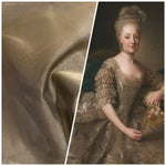 NEW! Lady Estella 100% Silk Organza Taupe Grey Fabric - Fancy Styles Fabric Pierre Frey Lee Jofa Brunschwig & Fils
