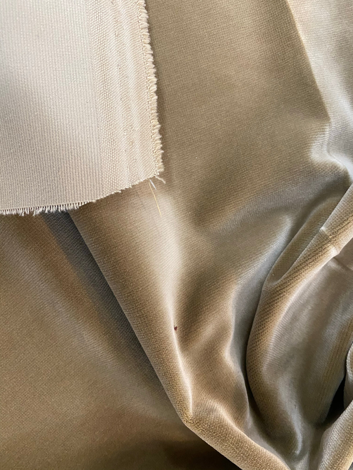 NEW! Prince Oliver - Designer 100% Cotton Made In Belgium Upholstery Velvet Fabric - Olive Gold - Fancy Styles Fabric Pierre Frey Lee Jofa Brunschwig & Fils