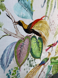 NEW Duchess Florita Novelty 100% Cotton Bird & Floral Decorating Fabric - Fancy Styles Fabric Pierre Frey Lee Jofa Brunschwig & Fils