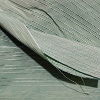 NEW Sir Ronan 100% Silk Fabric with Striped Embroidery Detail- Sage-Aqua Green - Fancy Styles Fabric Pierre Frey Lee Jofa Brunschwig & Fils